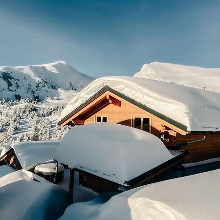 פטרגסן Heidi Chalets Falkert Heidialm - Chalets Bergwinter מראה חיצוני תמונה