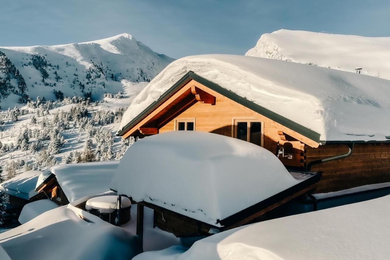 פטרגסן Heidi Chalets Falkert Heidialm - Chalets Bergwinter מראה חיצוני תמונה