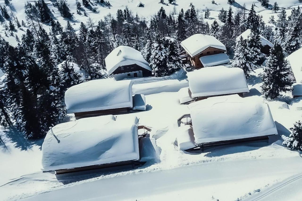 פטרגסן Heidi Chalets Falkert Heidialm - Chalets Bergwinter מראה חיצוני תמונה